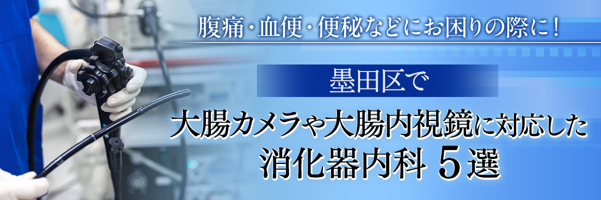 腹痛・血便・便秘などにお困りの際に！墨田区で大腸カメラや大腸内視鏡に対応した消化器内科５選